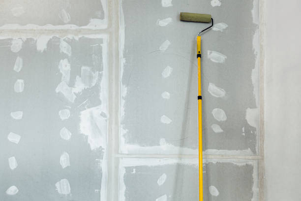 Best Drywall Crack Repair  in Strawberry Point, IA