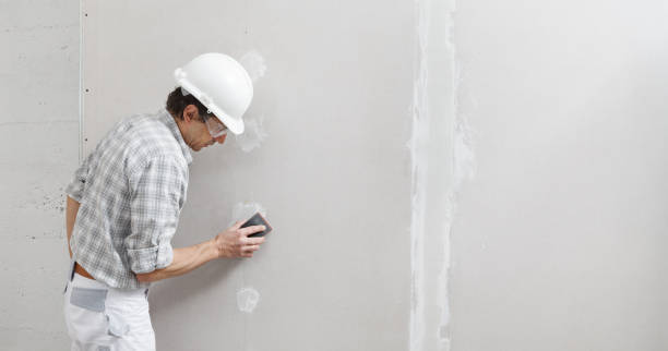 Best Drywall Sanding and Smoothing  in Strawberry Point, IA