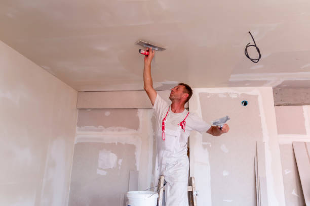 Best Wallpaper Removal and Painting  in Strawberry Point, IA